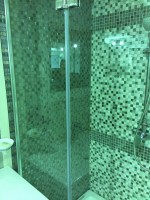 IMG_2491 (1)